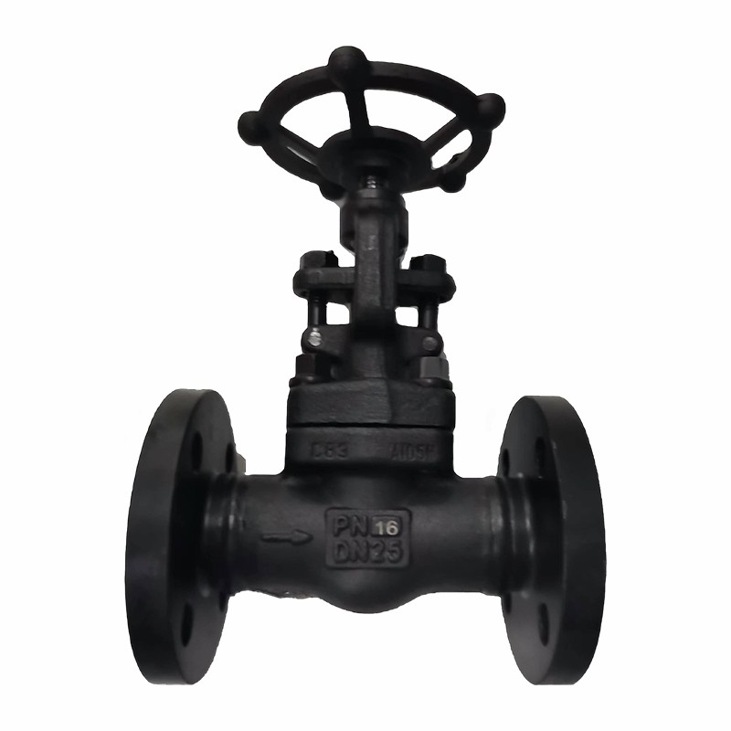 שסתום שער מזויף