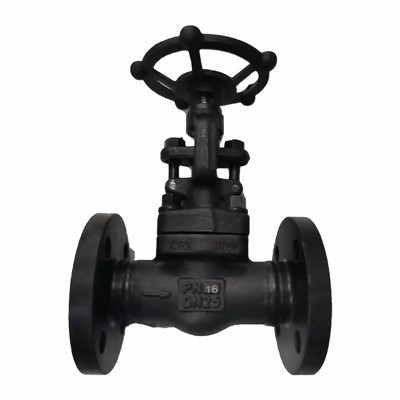 שסתום שער מזויף